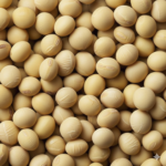 Close-up view of a pile of yellow soybeans with a smooth surface and round shape.