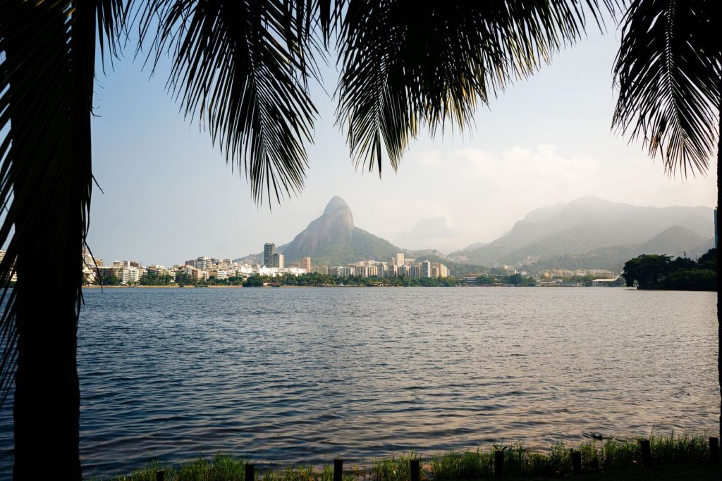 Panoramic view of Pedra da Gávea framed by palm trees in Rio de Janeiro, Brazil.