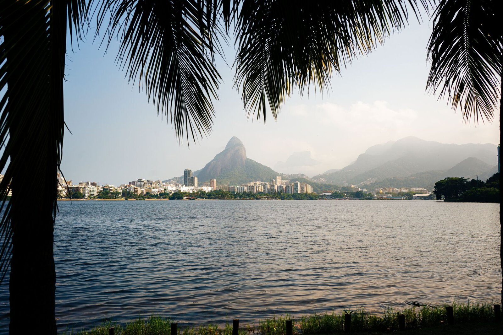 Panoramic view of Pedra da Gávea framed by palm trees in Rio de Janeiro, Brazil.