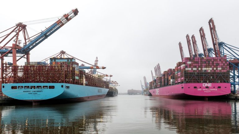 Massive container ships docked at Hamburg Port, displaying global shipping power.