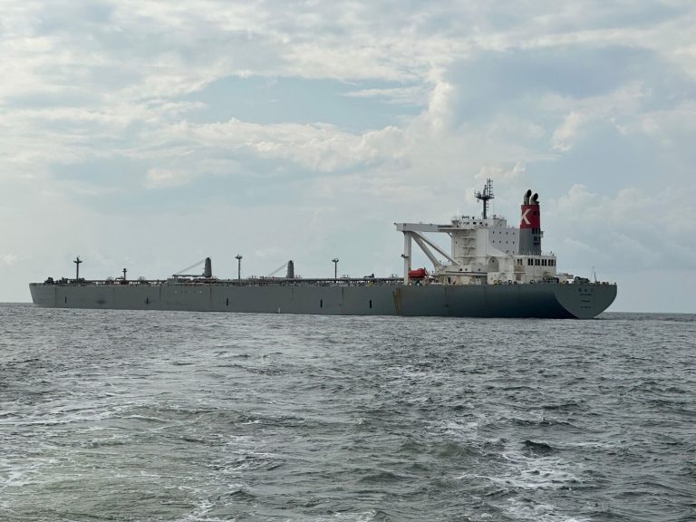 A massive cargo ship navigates the open sea, showcasing maritime transport under a cloudy sky.