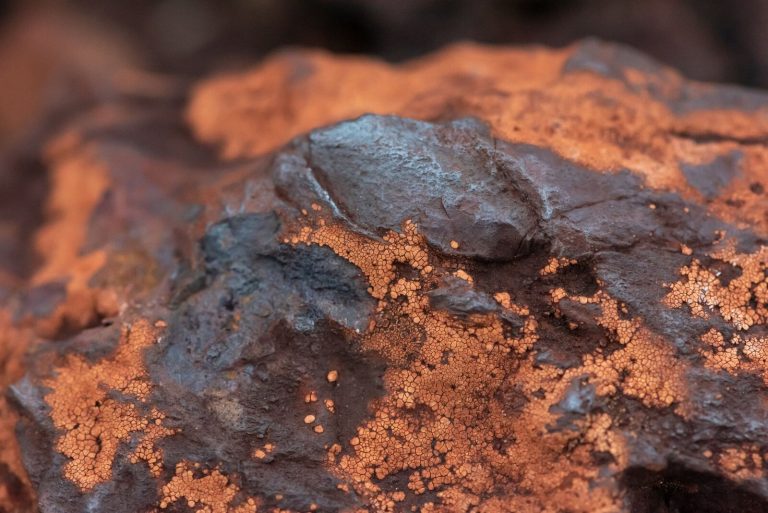 Detailed texture of iron ore rock in Minas Gerais, Brazil, showcasing earthy tones and mineral structures.