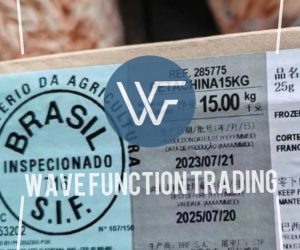 Brazilian Chiken Paws -Wave Function Trading