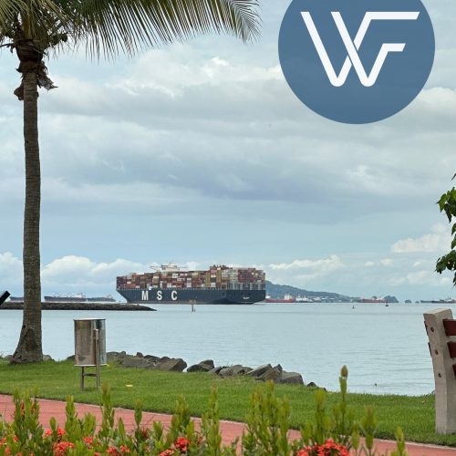 Large container ship named MSC sailing on calm waters with a cloudy sky in the background.